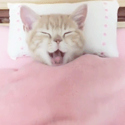 sleep gg/comgirl