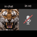 chat