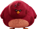 angy