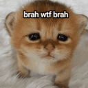 brah