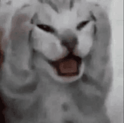 Catcry
