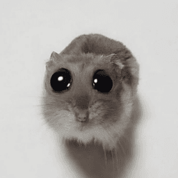 Yo