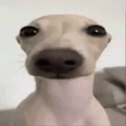 No