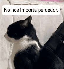 No nos importa perdedor 