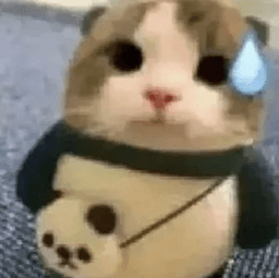 raphcat ( gg/vile
