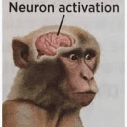 Neuron activation 