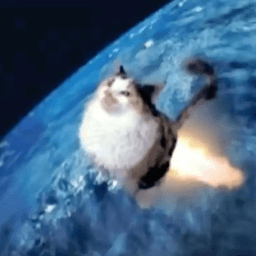 Fart cat