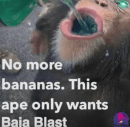 Bananas | .gg/kreamy