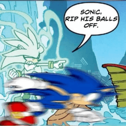 Sonic