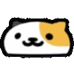doogy