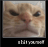 shit yourself
