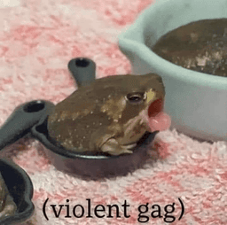 Gag