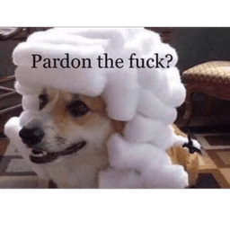 Pardon the fuck?
