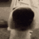 sniff
