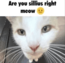 ARE U FR /luvme