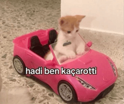 kacarotti