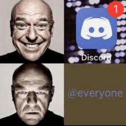 Everyone 