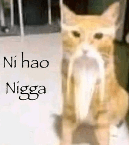 NI hao