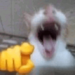 HahHhhHhHhH