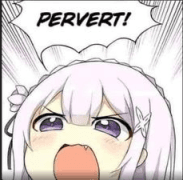 Pervet!