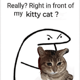 Kitty cat 