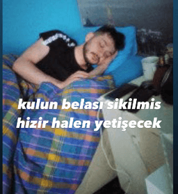 dp_selami