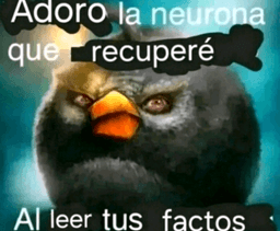 Factos gg/inmoralityhome