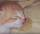 Sleep