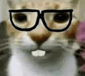 Nerd