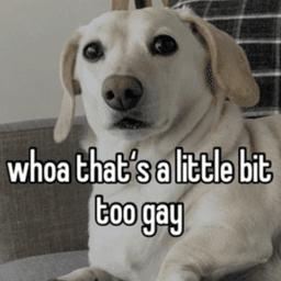 little bit too gay