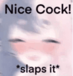 Nicecock_Lust