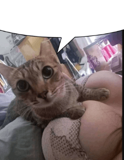 Tit