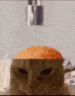 .gg/bricked