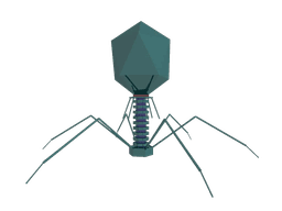 Phage