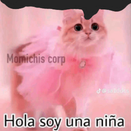 hola soy wiin
