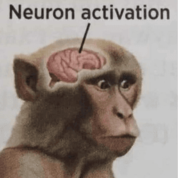 Neuron activation 