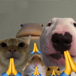 Pray 