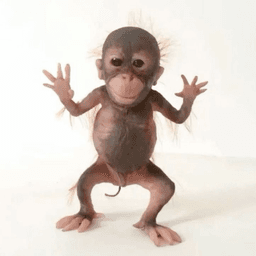 Macaco de braço aberto 