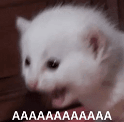 dp_AAAAAAAAAAAAAAA