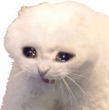 SadgeCat