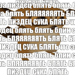 Блячозапиздец