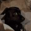 side eye | .gg/darlings18