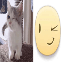 wink .gg/talk