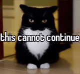 cannot continue