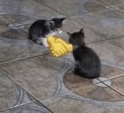 handshake