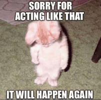 Not sorry