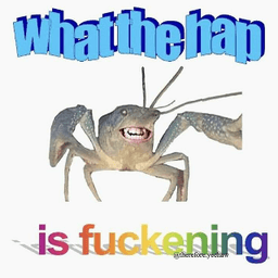Wtf