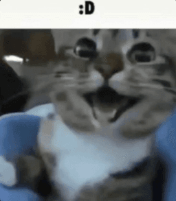 :D