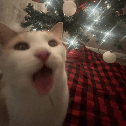 Shocked 