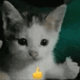 okcat